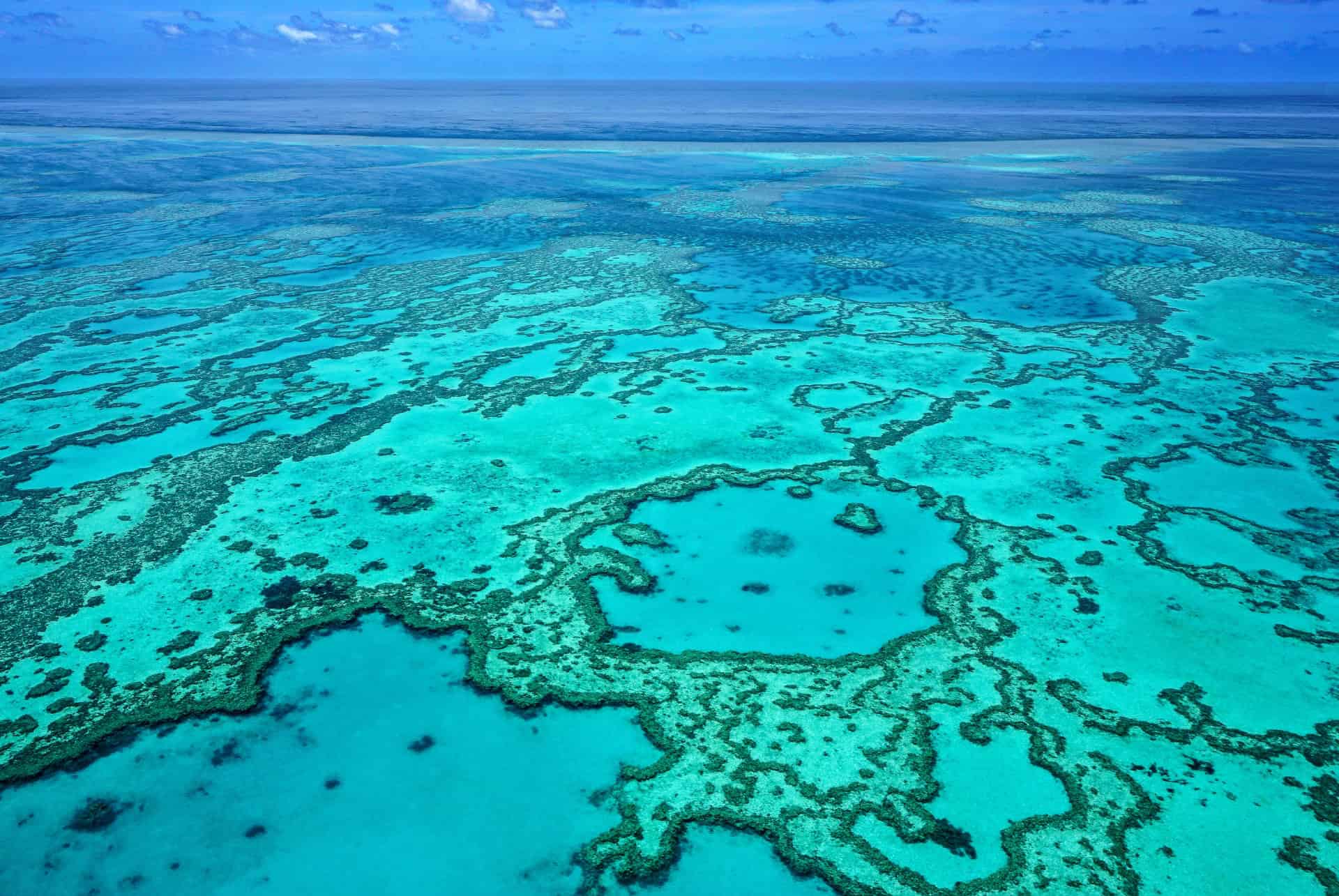 road trip en australie grande barriere de corail