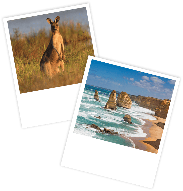 polaroid australie polaroid australie